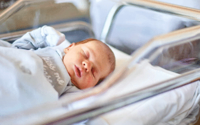 Newborn Hospital Bed Vs. Bassinet: Which Is Safer For Nicus?